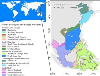 Setting Conservation Priorities for Marine Sharks in China and the Association of Southeast Asian Nations (ASEAN) Seas: What Are the Benefits of a 30% Conservation Target?